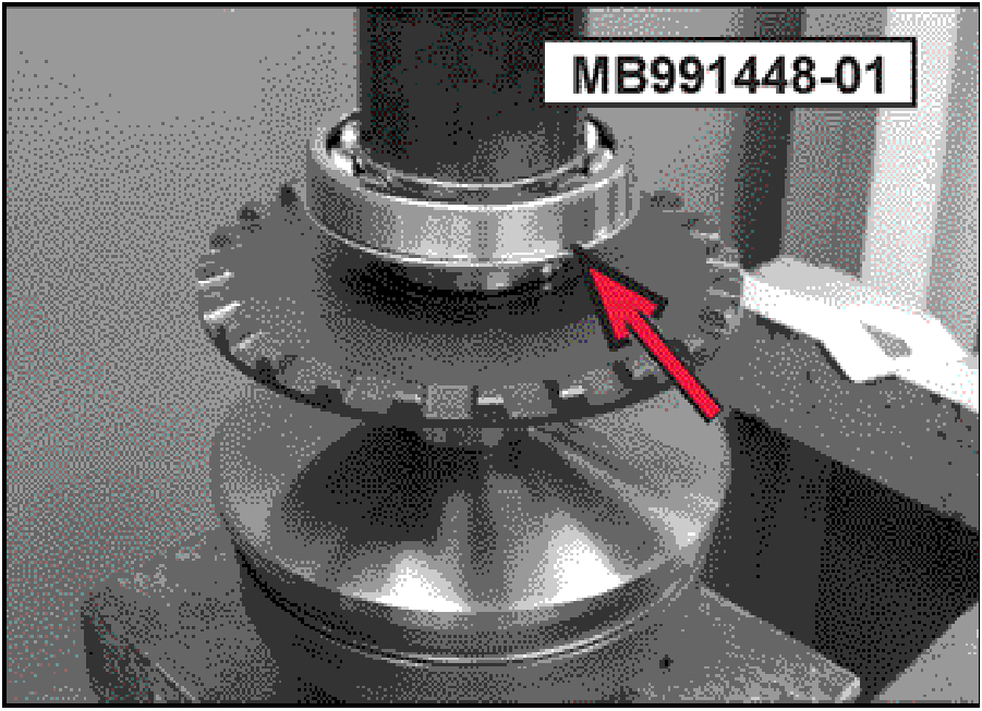 520065657_graphic-text237